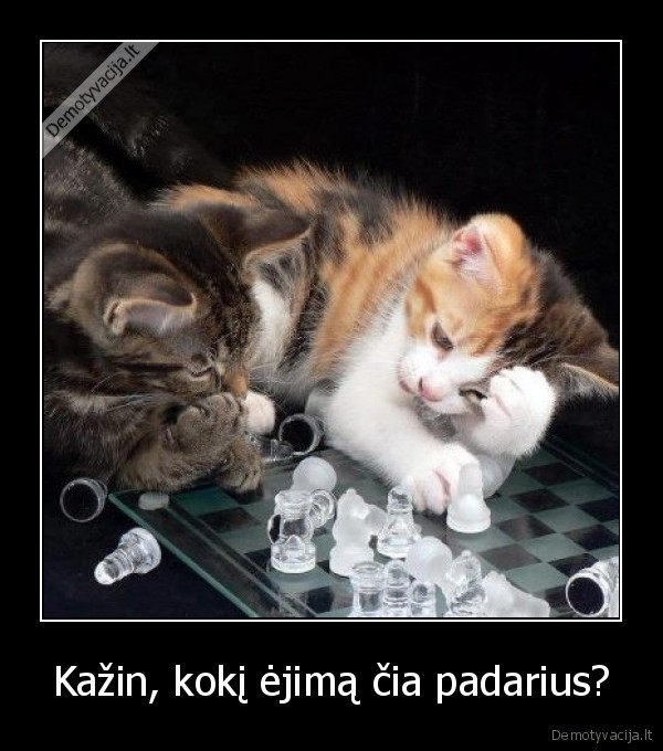 Kažin, kokį ėjimą čia padarius?