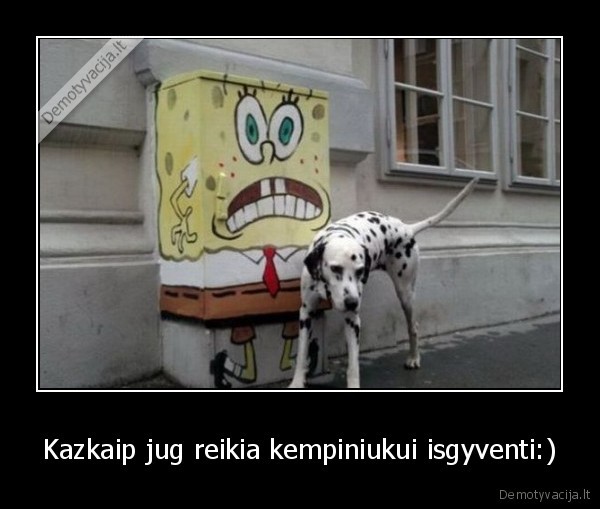 Kazkaip jug reikia kempiniukui isgyventi:)
