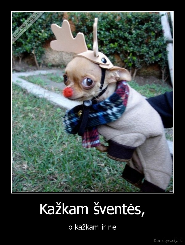 sventes,gyvunai