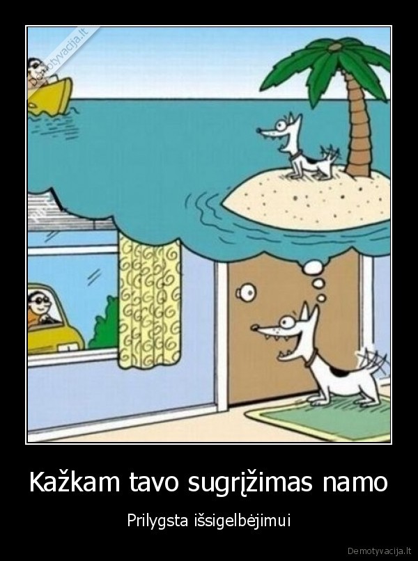 suo, namas, seimininkas