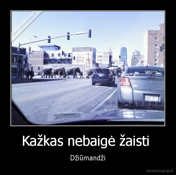 drambliai