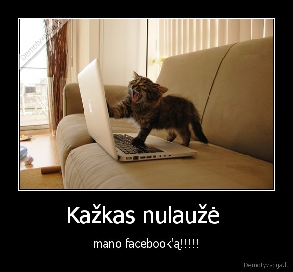 priklausomybe, facebook, auka