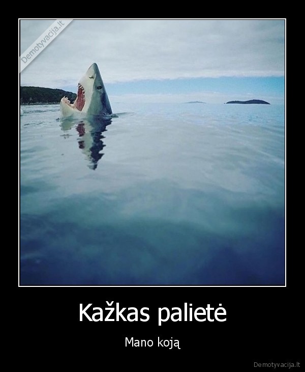 ryklys,vanduo