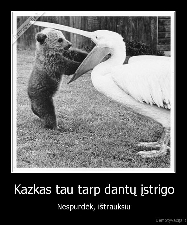 Kazkas tau tarp dantų įstrigo