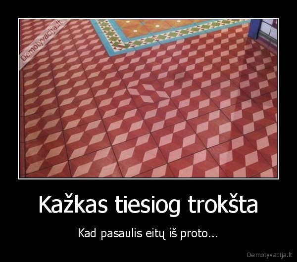 plyteles,beprotyste,sistemos, lauzymas