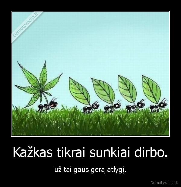 Kažkas tikrai sunkiai dirbo.