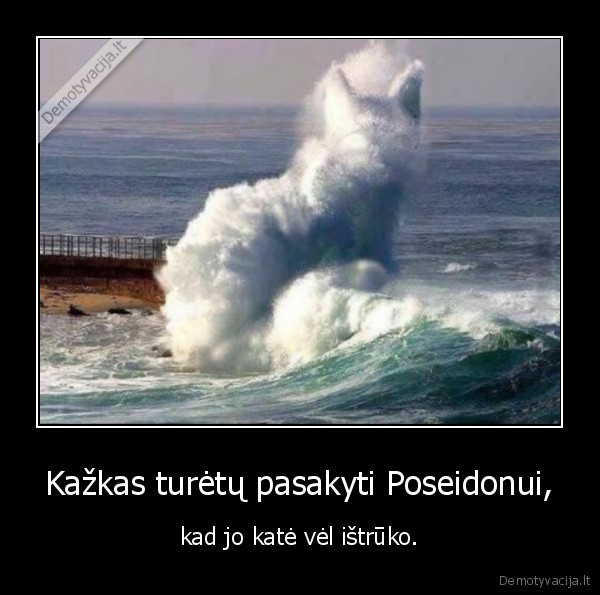 poseidonas,kate,katinas,vanduo