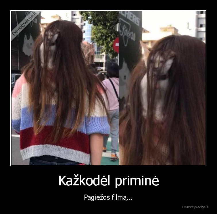 katinas,pagieza,plaukai