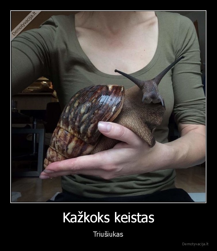 didele, sraige