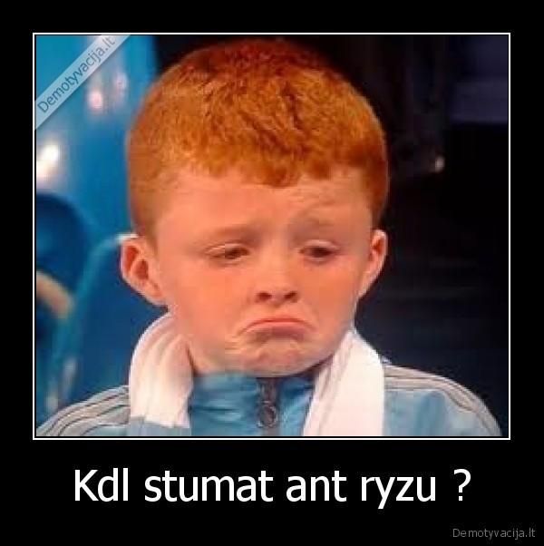 ryzas