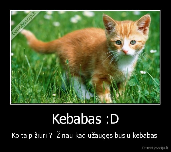 Kebabas :D