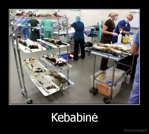 Kebabinė