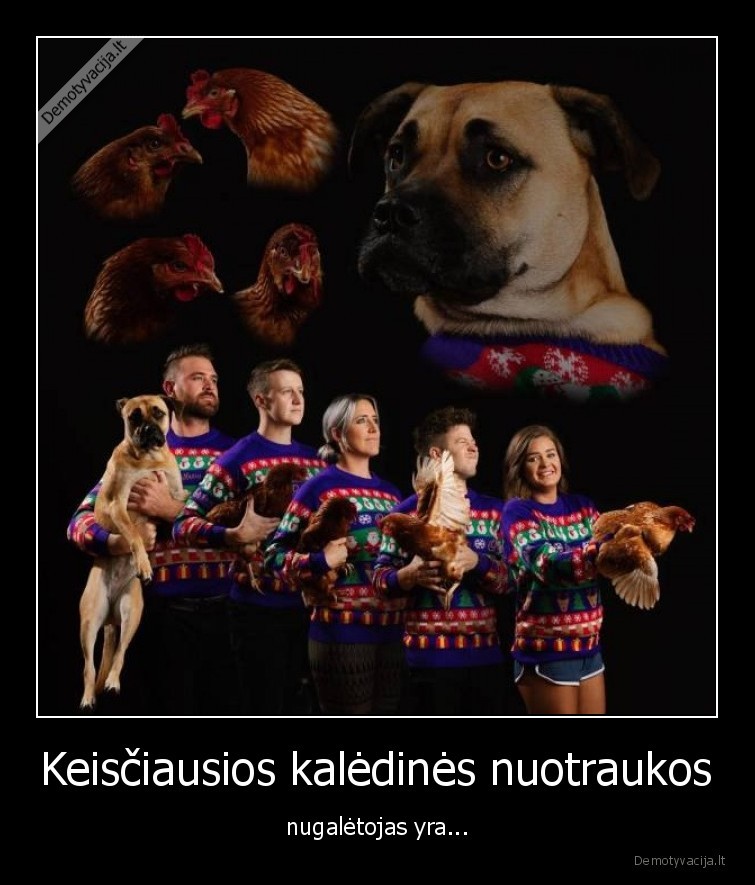 keisciausia,kaledine,nuotrauka,suo,vistos