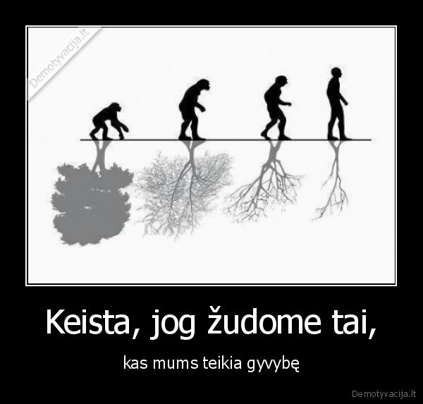 Keista, jog žudome tai,