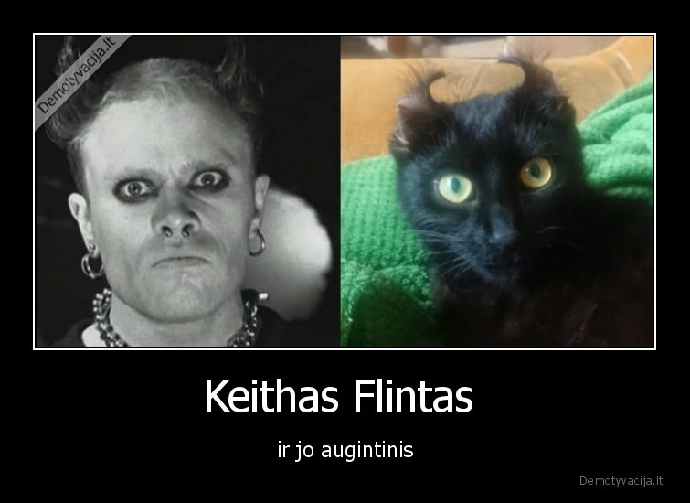 keith, flint,prodigy,augintinis,katinas