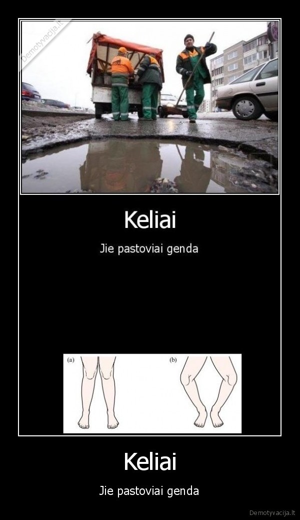 Keliai
