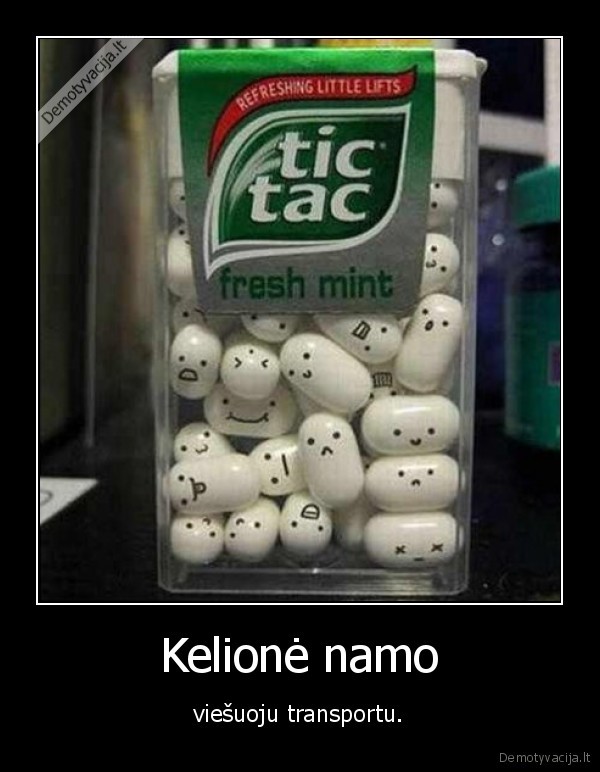 Kelionė namo