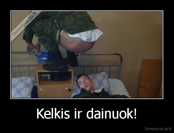 kariai,rytas,kelkis,dainuok