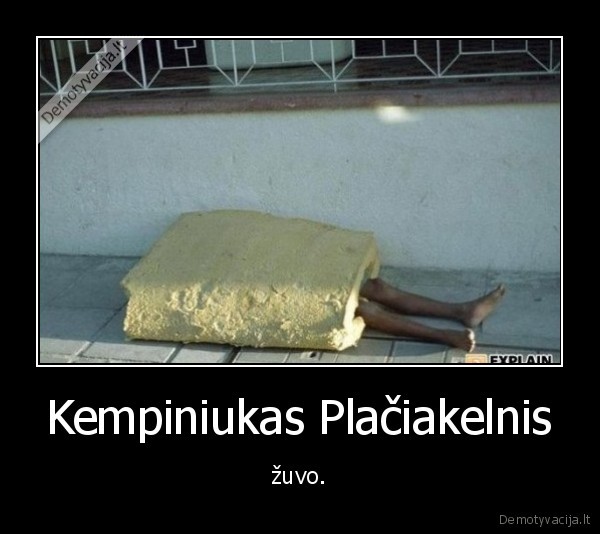 kempiniukas,zuvo,placiakelnis