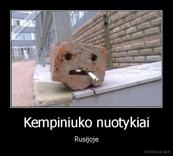 kempiniukas, placiakelnis,plyta,nuoruka