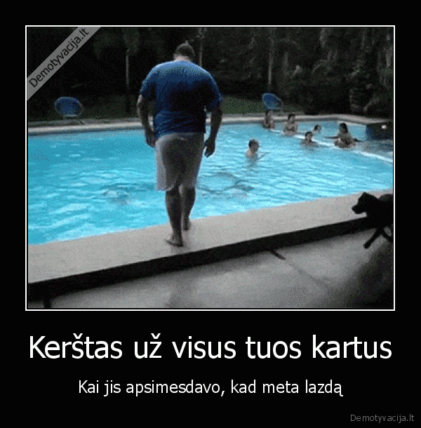 suns, kerstas,juokingas, suo,istume, i, baseina