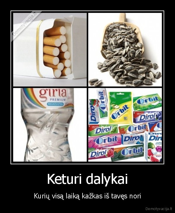 Keturi dalykai