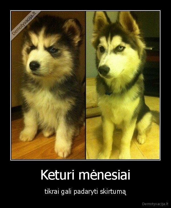 Keturi mėnesiai