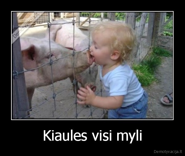 Kiaules visi myli