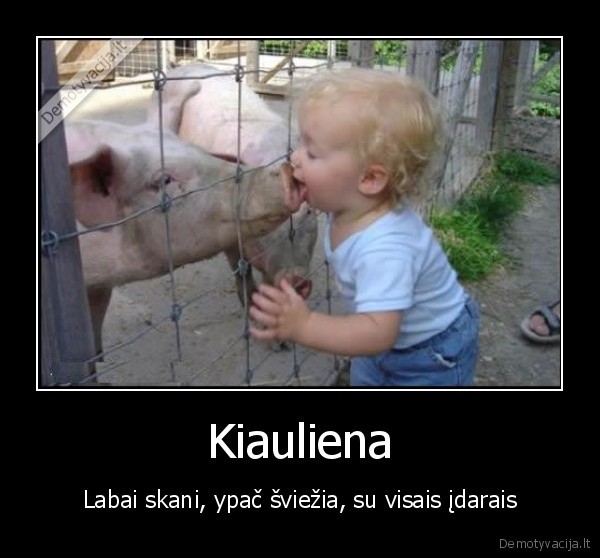 Kiauliena
