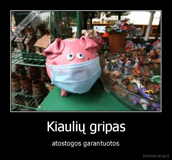 Kiaulių gripas