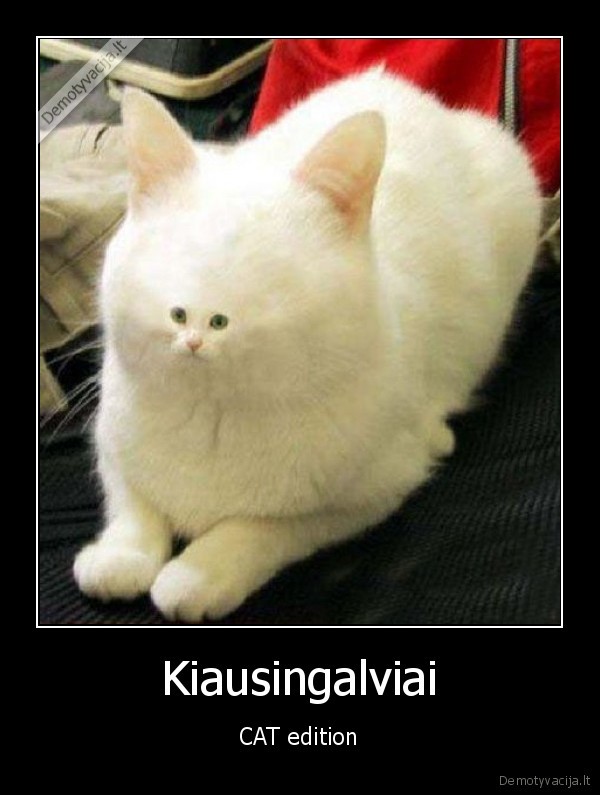 mutacija, katinuose