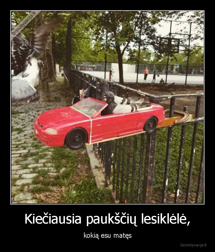 pauksciai,lesiklele,maistas,edalas