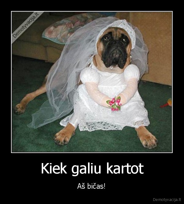 Kiek galiu kartot