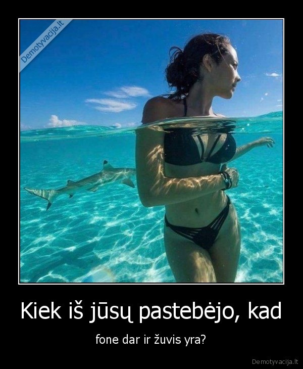 zuvis,mergina,papai