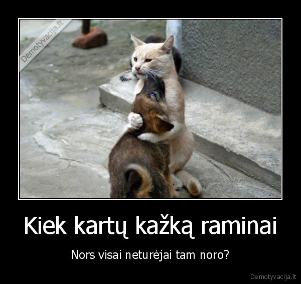 Kiek kartų kažką raminai