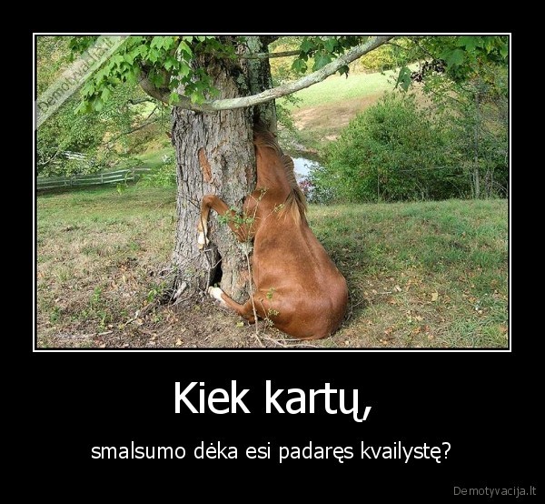 Kiek kartų,