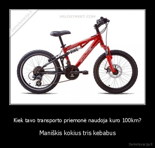 Kiek tavo transporto priemonė naudoja kuro 100km?