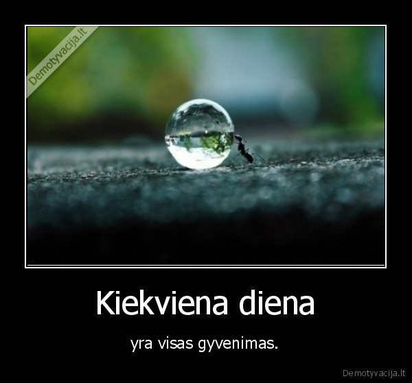 gyvenimas,lasas,diena