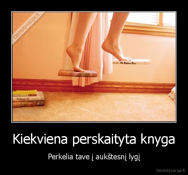 knyga