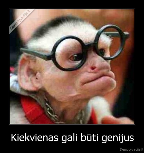 Kiekvienas gali būti genijus