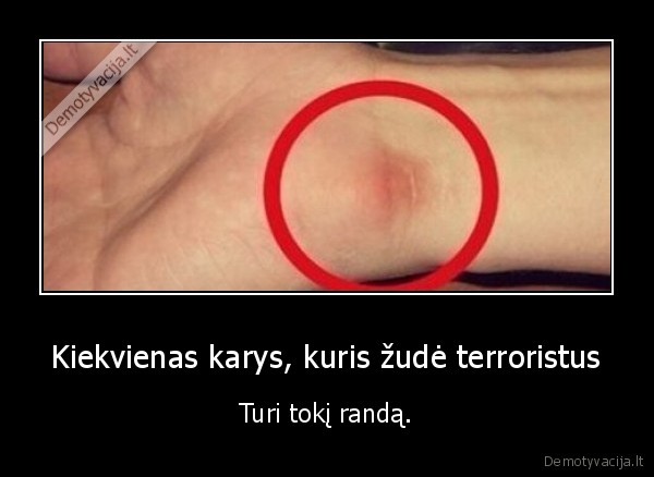 cs,zaidimai,karys
