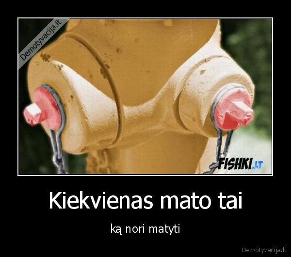 Kiekvienas mato tai
