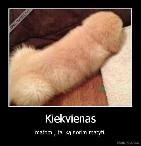 Kiekvienas