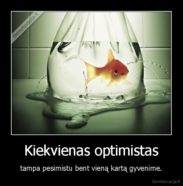 gyvenimas,optimistas,pesimistas,zuvis,vanduo