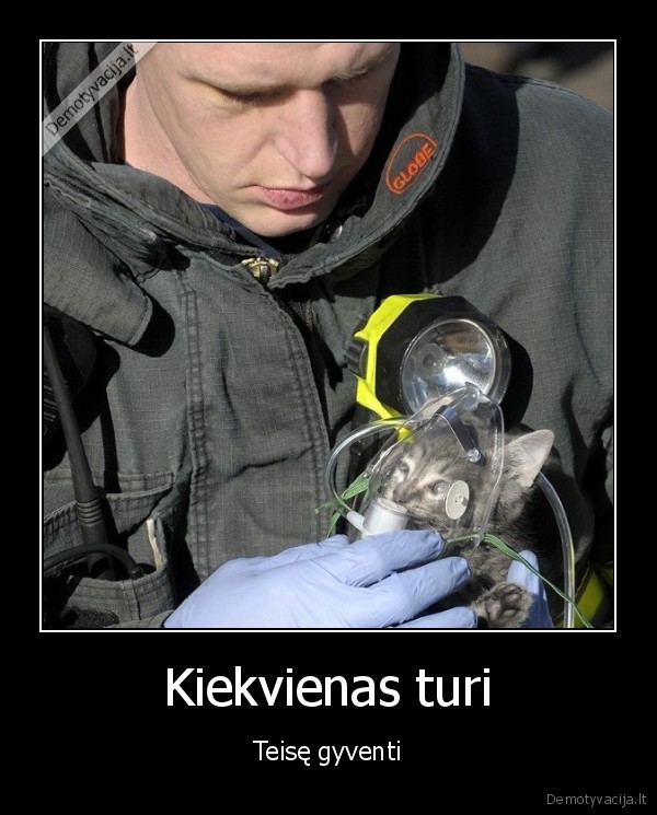 Kiekvienas turi