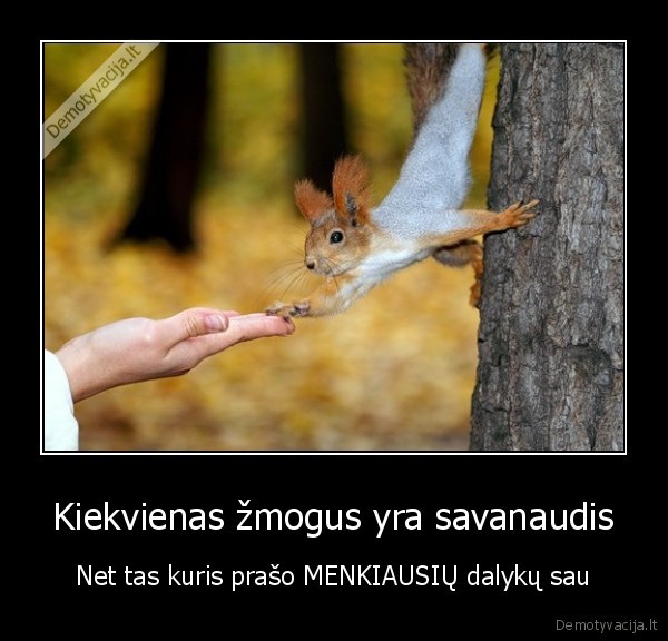 savanaudis,kubilius, yra, visiskas, savanaudis,vovere
