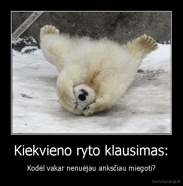 Kiekvieno ryto klausimas: