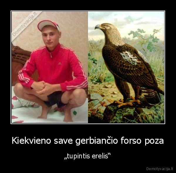 taip,tupesi,islavinsi,profesionalu,sikima