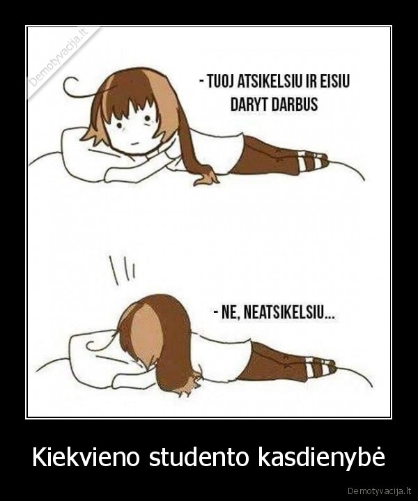 studentas,kasdienybe,universitetas,koelgija,mokykla