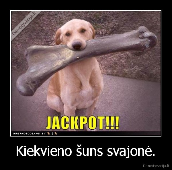 suo,kaulas
